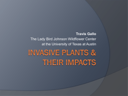 Invasive Species and Their Impacts