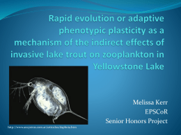 Rapid evolution or adaptive phenotypic plasticity as a mechanism of