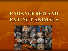ENDANGERED AND EXTINCT ANIMALS