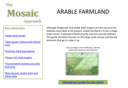 Mosaic Approach - Arable Farmland