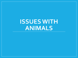 Issues with Animals
