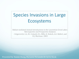Species Invasions in Large Ecosystems Seminar