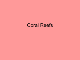 Coral Reefs - Humble ISD