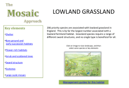 Mosaic Approach - Lowland Grassland