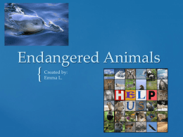 endangered animal species