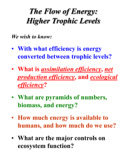 energyflow_2levels_lecture2004
