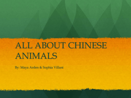chinese animals - The Manhattan New School Projects Page