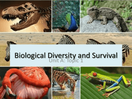 Biological Diversity and Survival