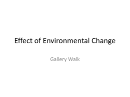 Effect of Environmental Change