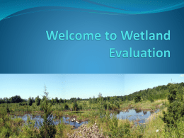 Wetland Evaluation - Otty Lake Association