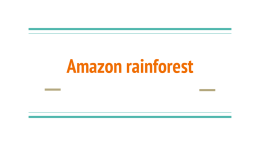 Amazon rainforest`s importance