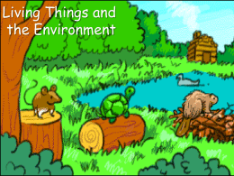 Living Things and the Environment