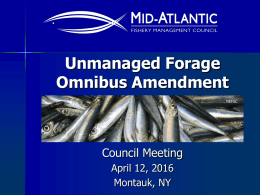 Presentation - Mid-Atlantic Fishery Management Council