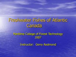 Freshwater Fishes of Atlantic Canada