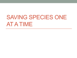 Saving Species One at a Time