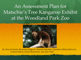 Assessment Plan for Matschie*s Tree Kangaroo Exhibit at the