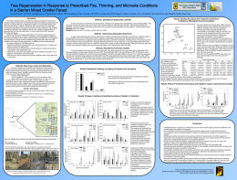Tree Regeneration in Response to Prescribed Fire, Thinning, and