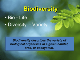 Biodiversity Powerpoint