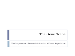 The Gene Scene Game