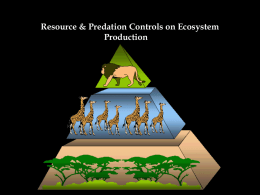 What controls production in an ecosystem?
