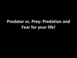 Predator vs prey Lec UPDATED