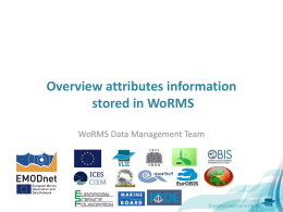 Overview attributes information stored in WoRMS