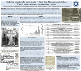 Historical Baselines for Large Sharks in Cape Cod, Massachusetts