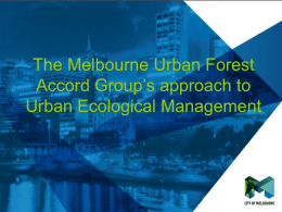 City of Melbourne – An Urban Forest Perspective