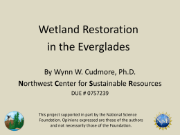 Wetland Restoration in Everglades