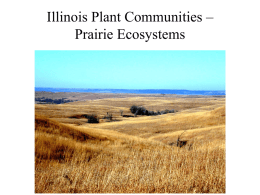 Conclude grasslands and savanna - Powerpoint for May 2.
