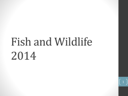 Fish and Wildlife 2014