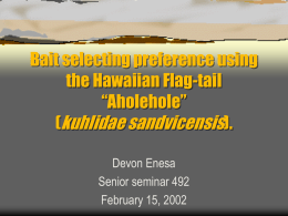 Bait selecting preference using the Hawaiian Flag