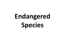 endangered_speciesx - British Council Schools Online