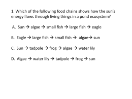 1. Which of the following food chains shows how the sun*s energy