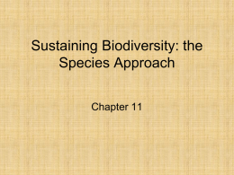 sustaining biodiversity ch 11