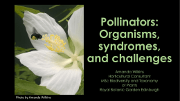 Plight of the Pollinators: Factors of Pollinator Decline