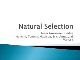 Natural Selection