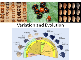 Variation and Evolution