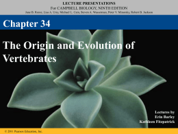 34_Lecture_Presentation_R