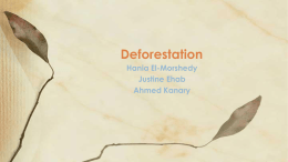 Deforestation - WordPress.com