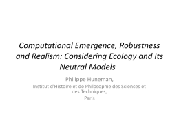 Computational Emergence, Robustness and