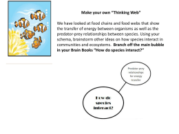 Make your own “Thinking Web”