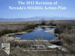 The 2012 Revision of Nevada`s Wildlife Action Plan