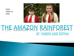 By Yasmin and Sophia The Amazon Rainforest