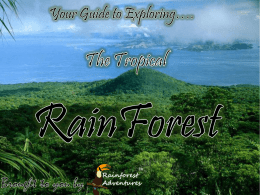 Tropical Rain Forest - Mercer Island School District