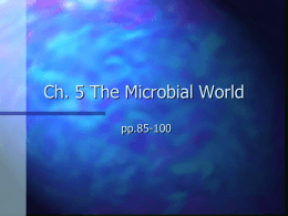 Plankton - BIOL265MarineBiology