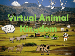 Virtual Animal Kingdom