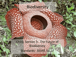 Future of Biodiversityx