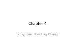 Chapter 4 - Miss