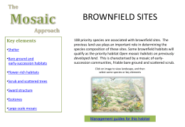 Brownfield or Open Mosaic Habitat On Previously Developed Land